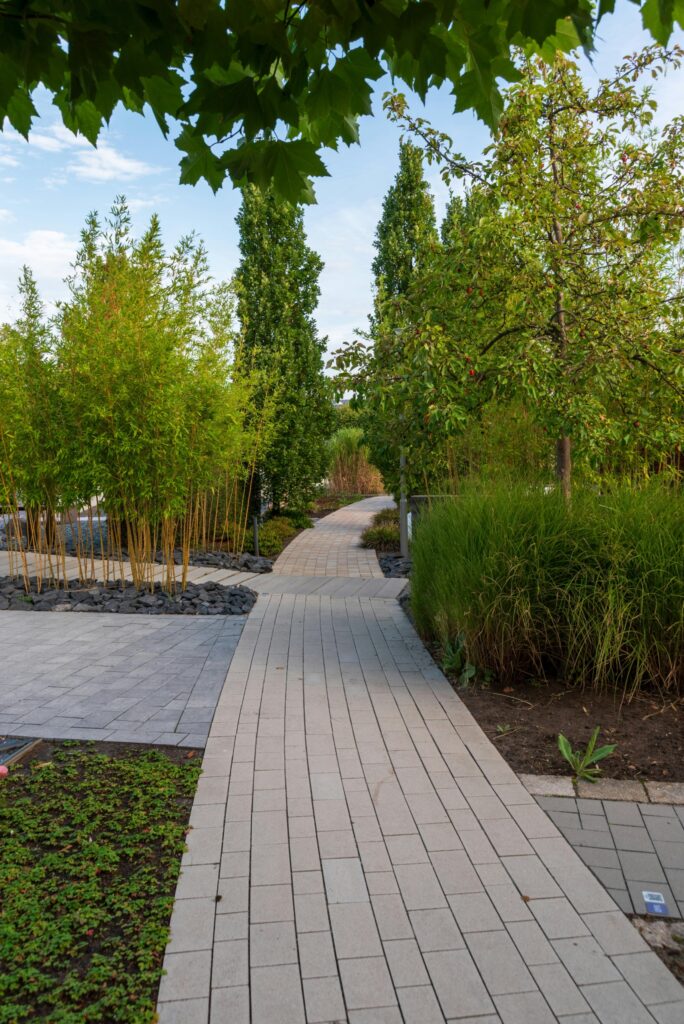 Neu angelegter Garten mit gepflasterter Terrasse
