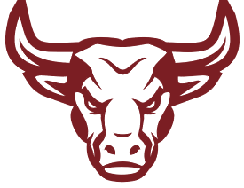 Turner Bau & Immobilienservice, Stier-Logo